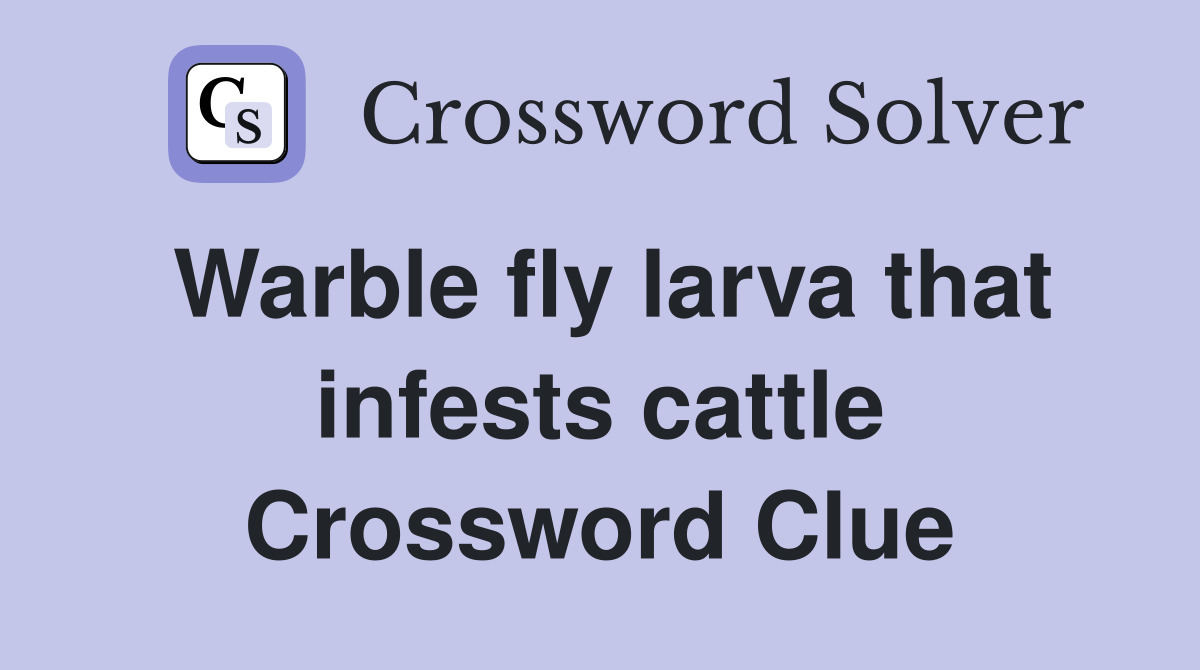 Warble fly larva that infests cattle Crossword Clue