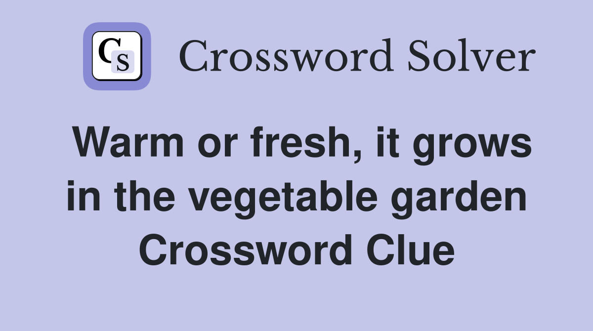 Warm or fresh, it grows in the vegetable garden Crossword Clue