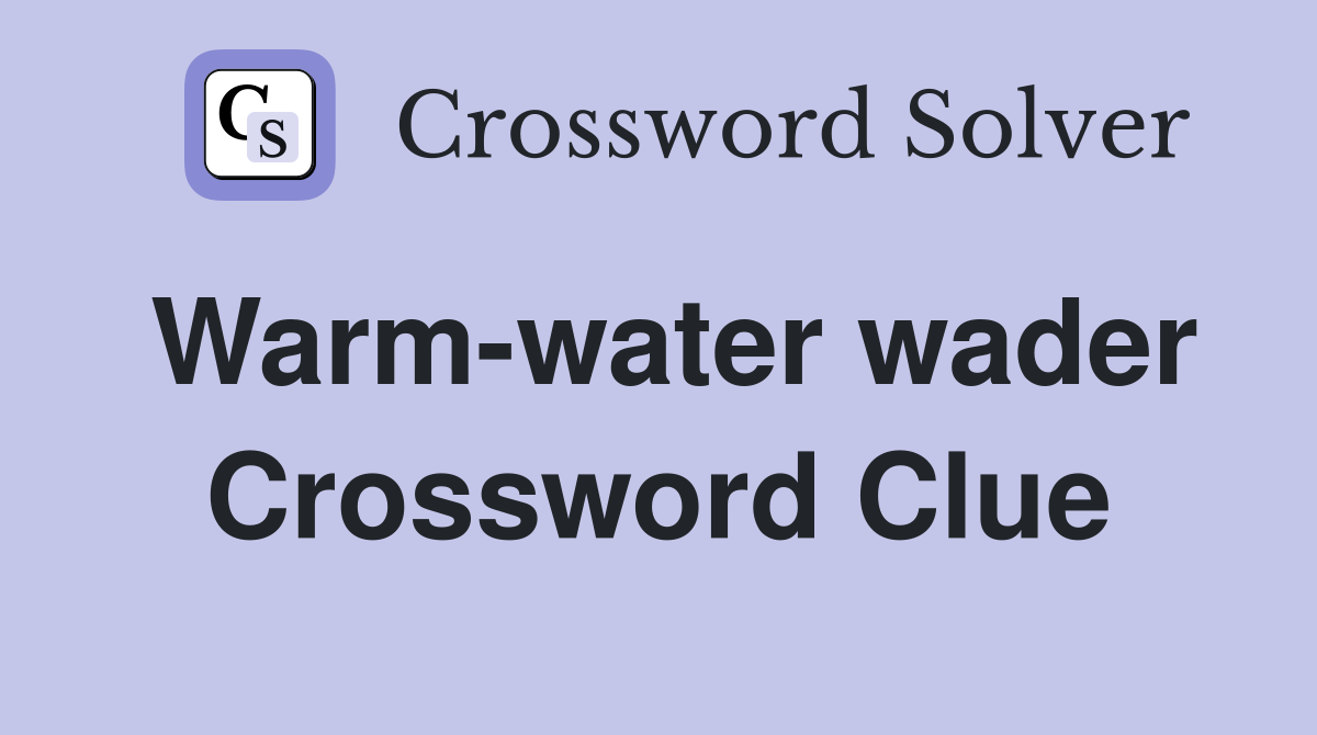 Warm-water wader Crossword Clue