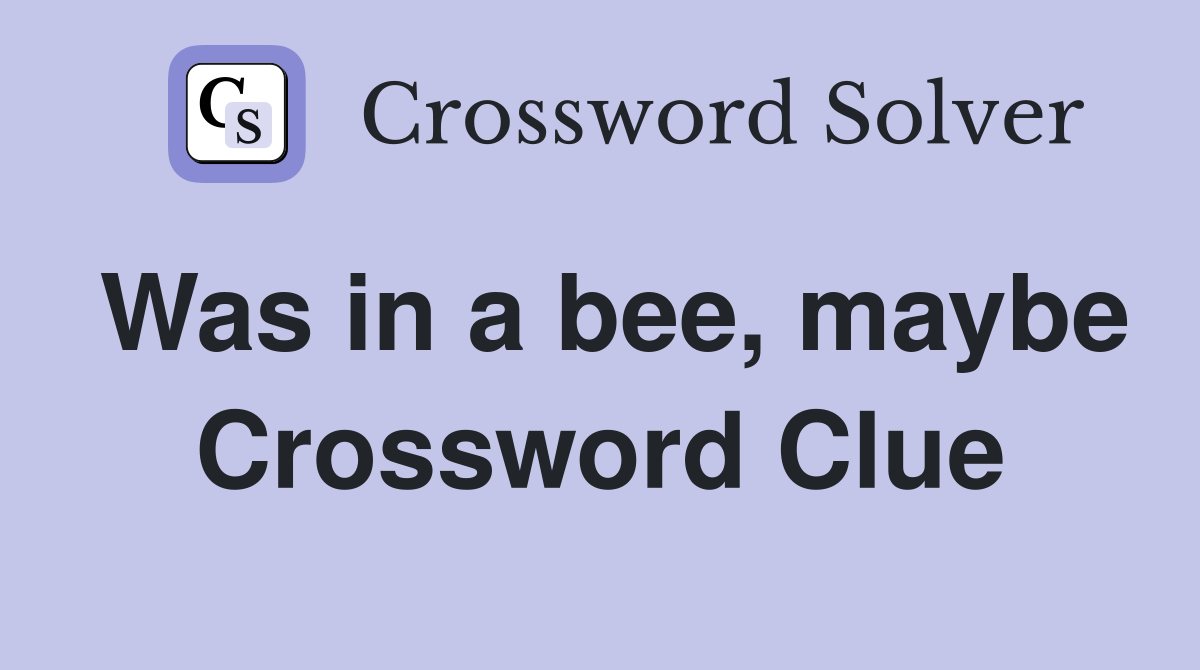 Was in a bee, maybe Crossword Clue