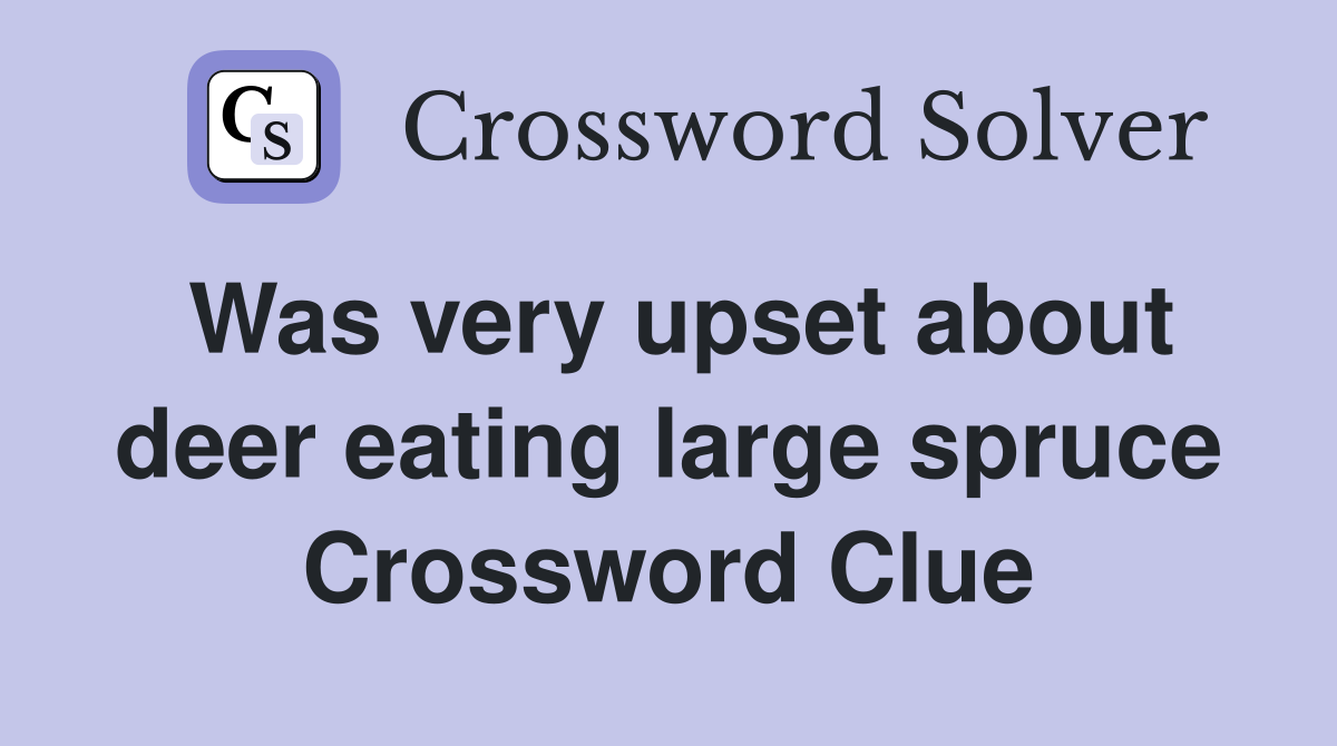 Was very upset about deer eating large spruce Crossword Clue