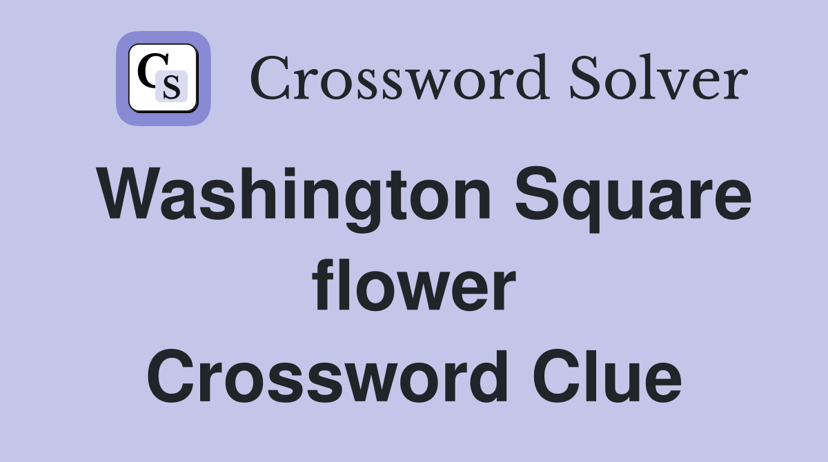 Washington Square flower Crossword Clue