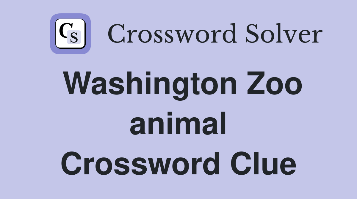 Washington Zoo animal Crossword Clue
