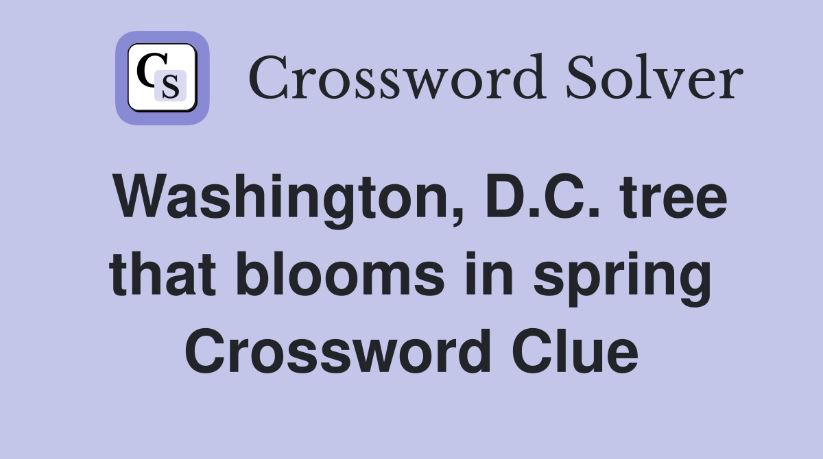 Washington, D.C. tree that blooms in spring Crossword Clue