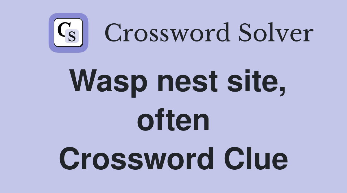 Wasp nest site, often Crossword Clue