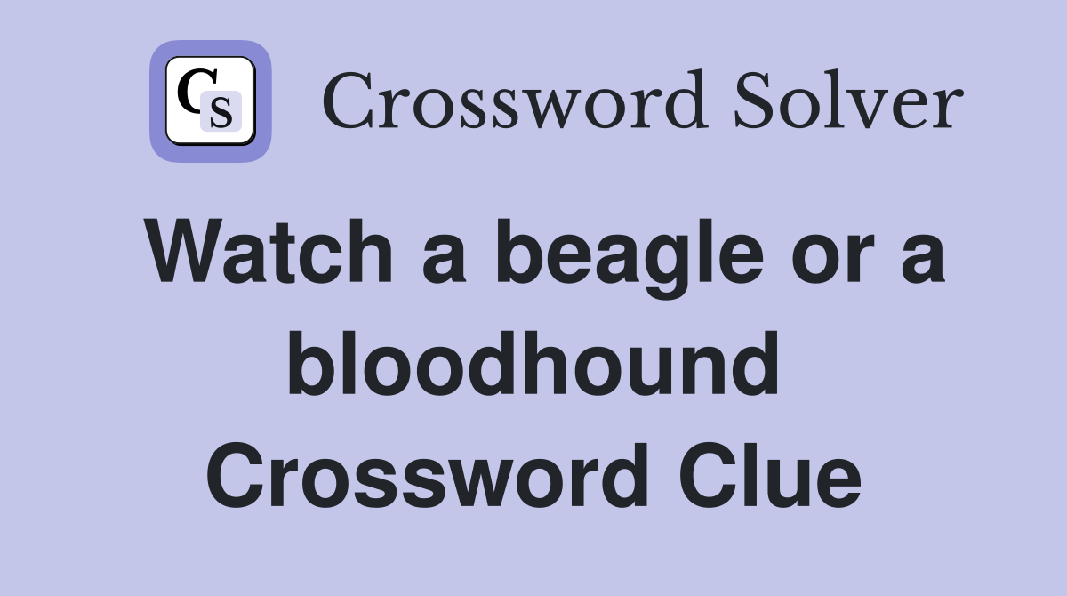 Watch a beagle or a bloodhound Crossword Clue