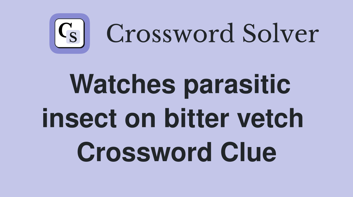 Watches parasitic insect on bitter vetch  Crossword Clue