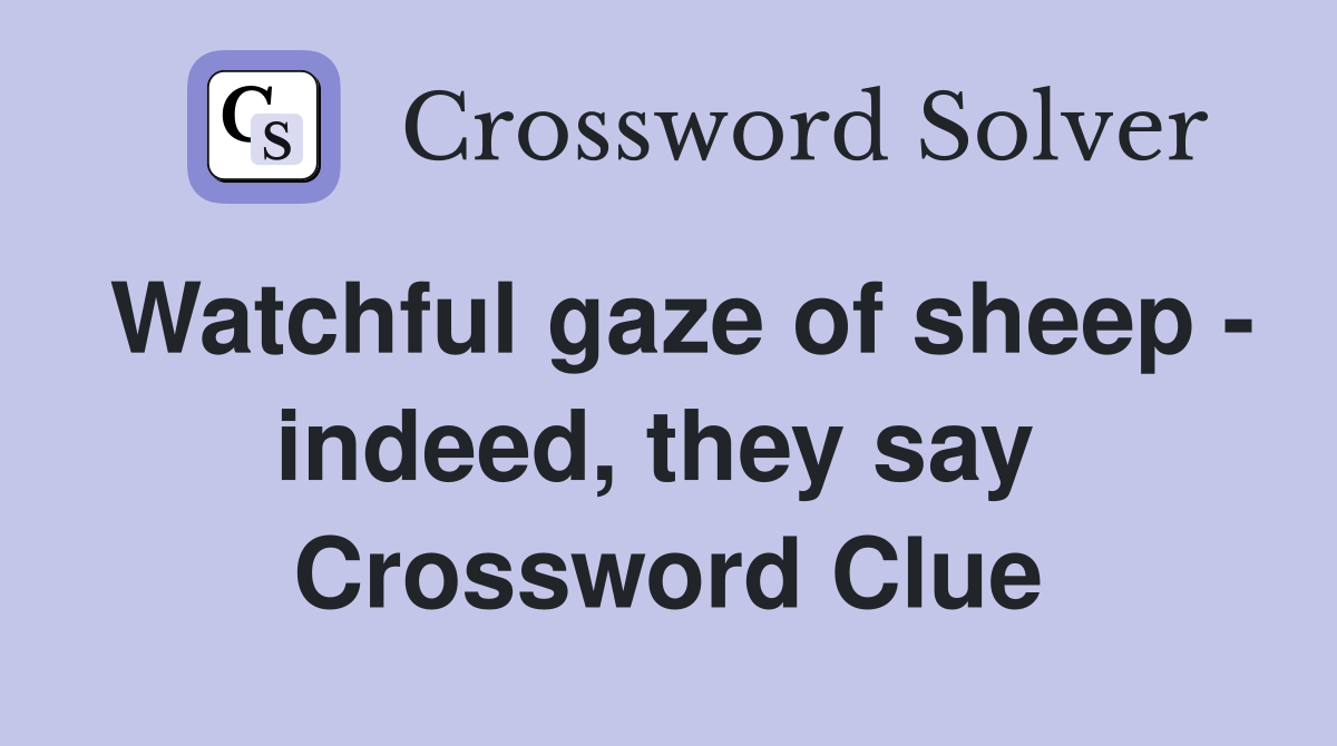 Watchful gaze of sheep - indeed, they say  Crossword Clue