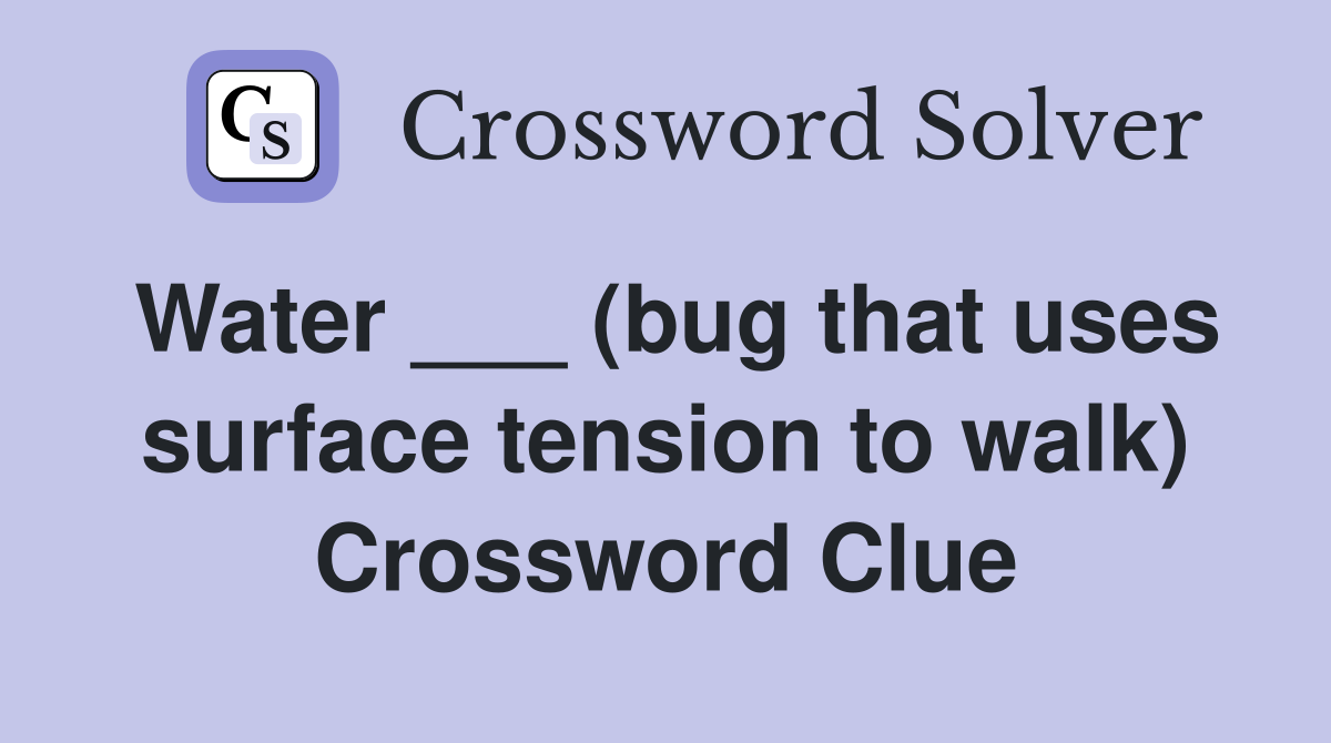 Water ___ (bug that uses surface tension to walk) Crossword Clue
