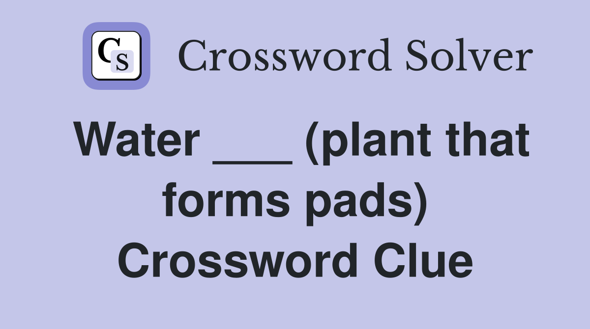 Water ___ (plant that forms pads) Crossword Clue