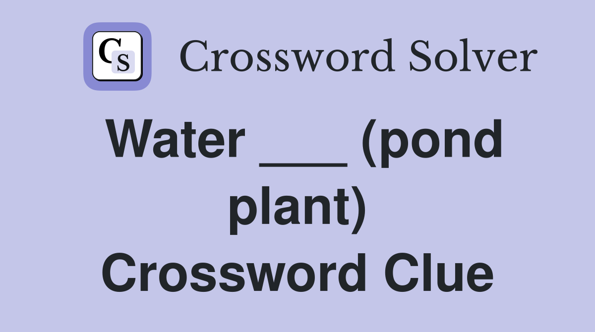 Water ___ (pond plant) Crossword Clue