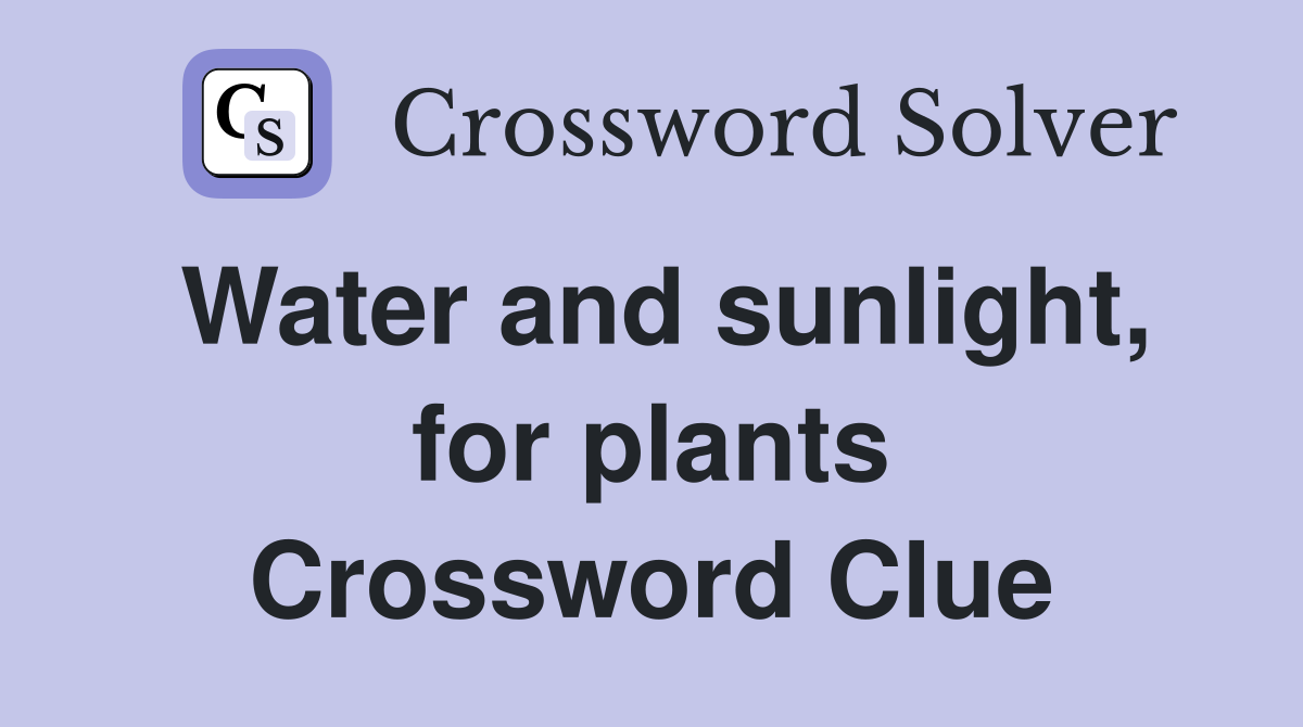 Water and sunlight, for plants Crossword Clue