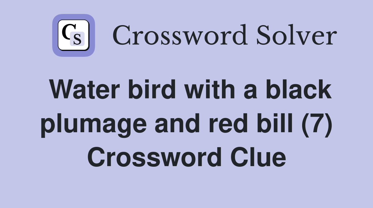 Water bird with a black plumage and red bill (7) Crossword Clue