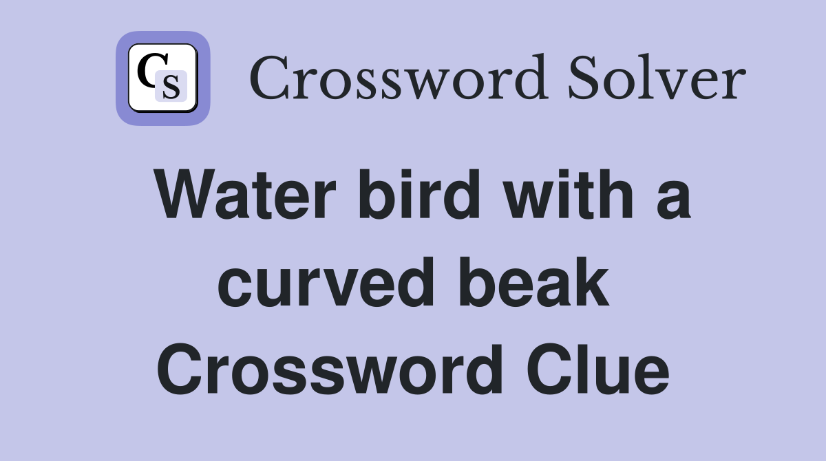 Water bird with a curved beak Crossword Clue