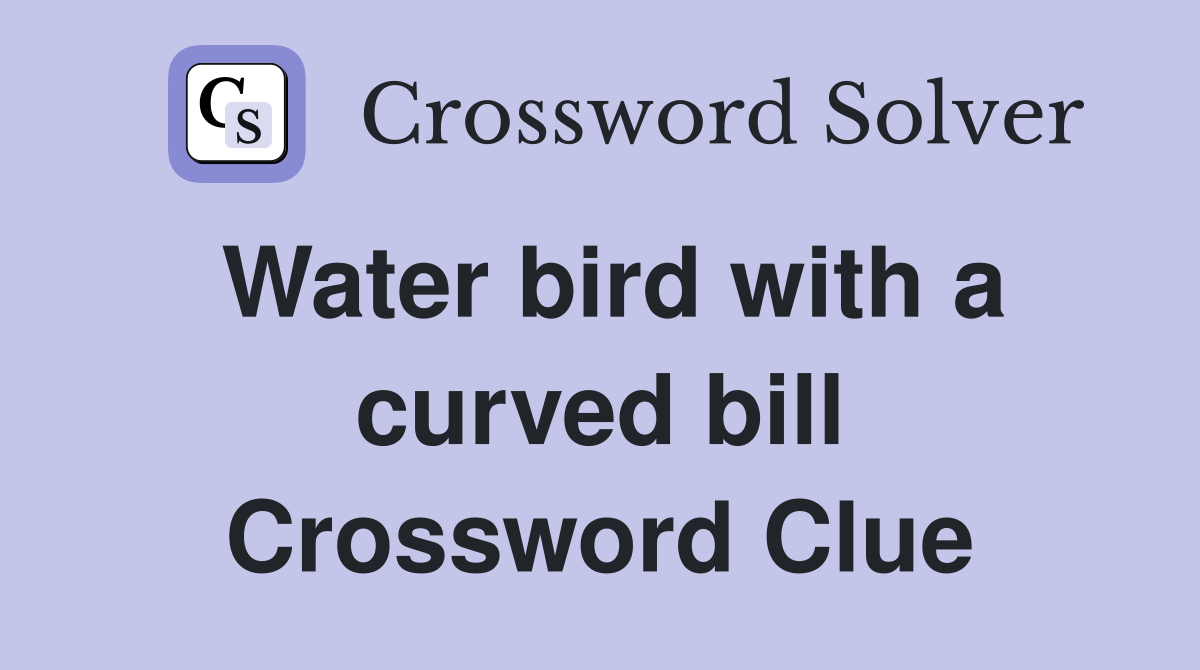 Water bird with a curved bill Crossword Clue