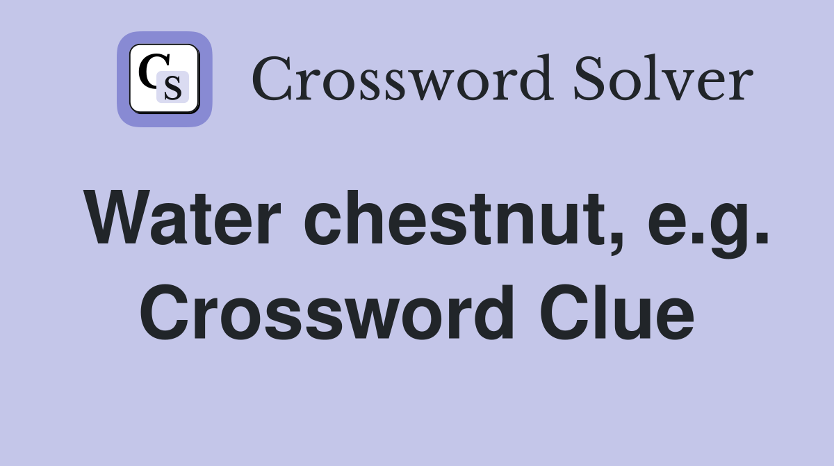 Water chestnut, e.g. Crossword Clue
