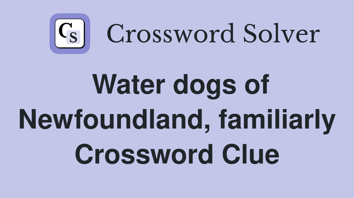 Water dogs of Newfoundland, familiarly Crossword Clue