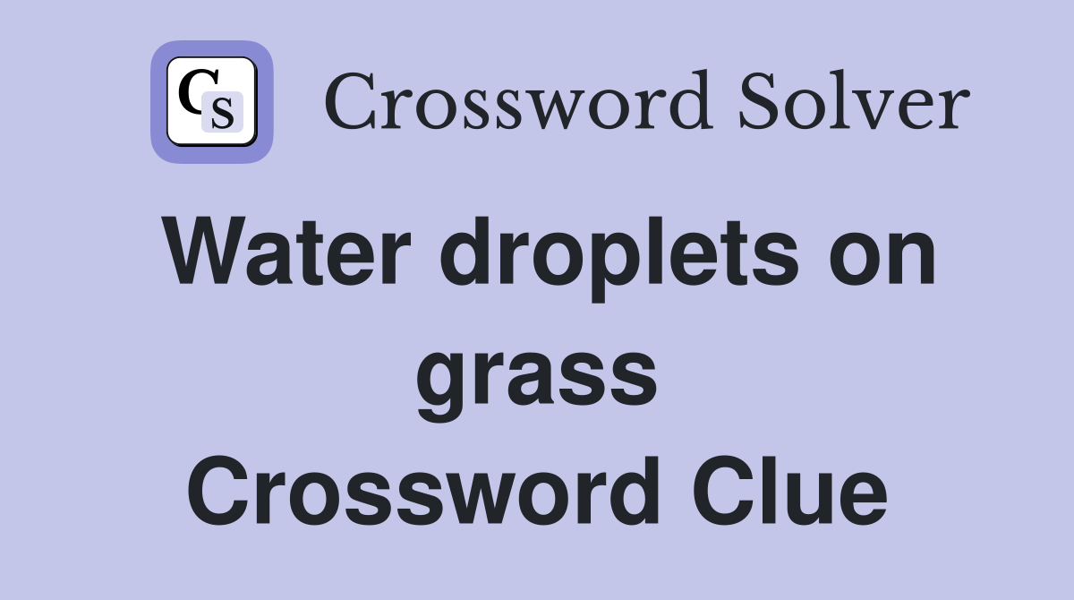 Water droplets on grass Crossword Clue