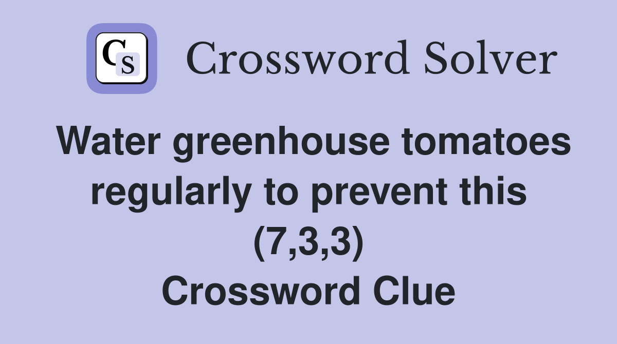 Water greenhouse tomatoes regularly to prevent this (7,3,3) Crossword Clue