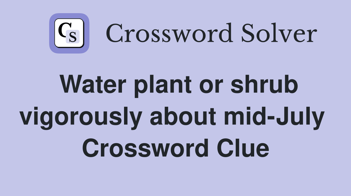 Water plant or shrub vigorously about mid-July  Crossword Clue