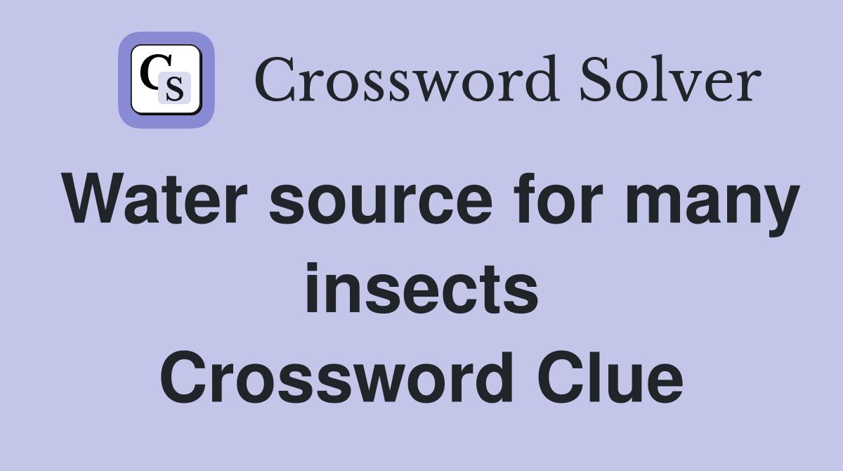 Water source for many insects Crossword Clue