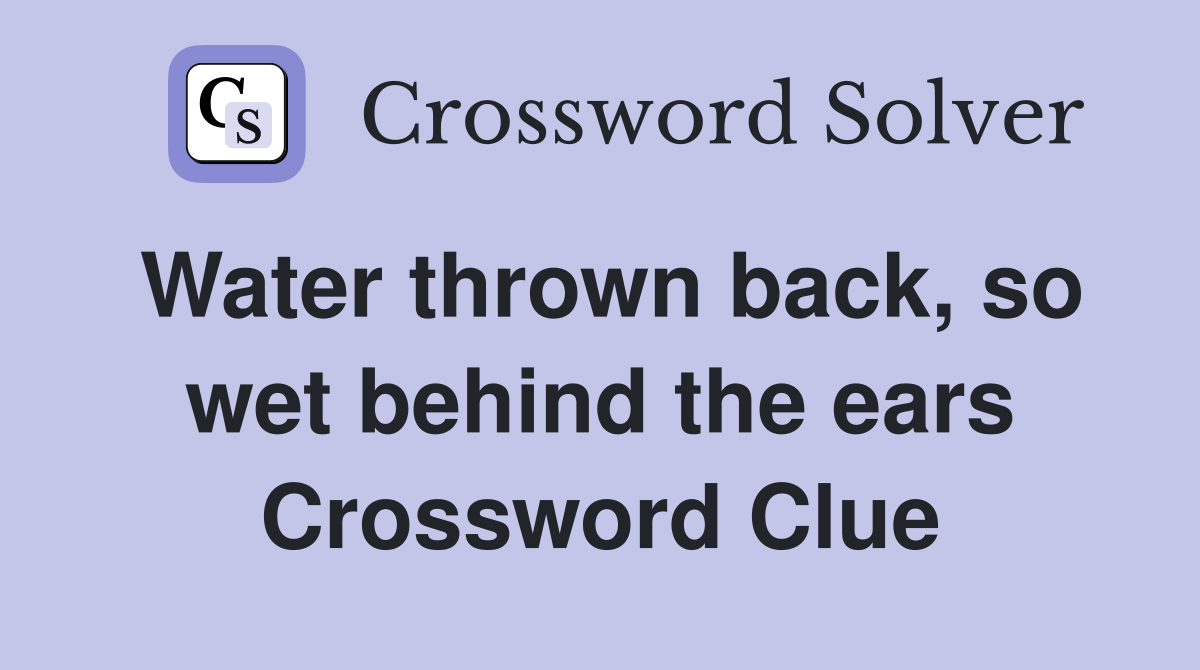 Water thrown back, so wet behind the ears Crossword Clue