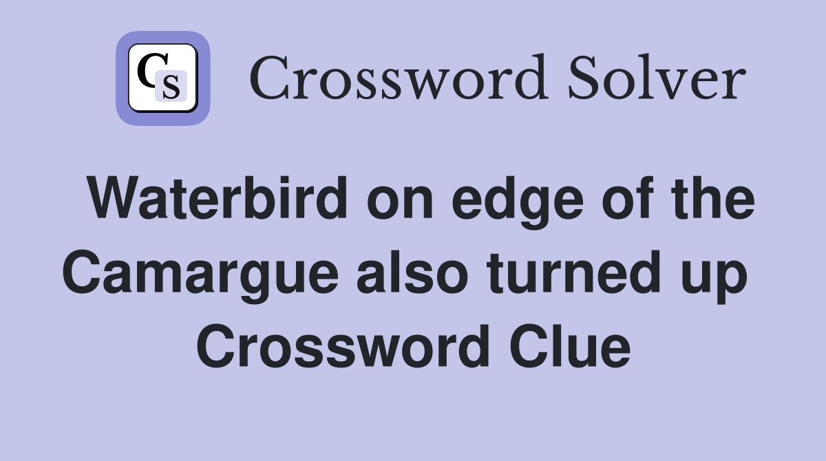 Waterbird on edge of the Camargue also turned up  Crossword Clue