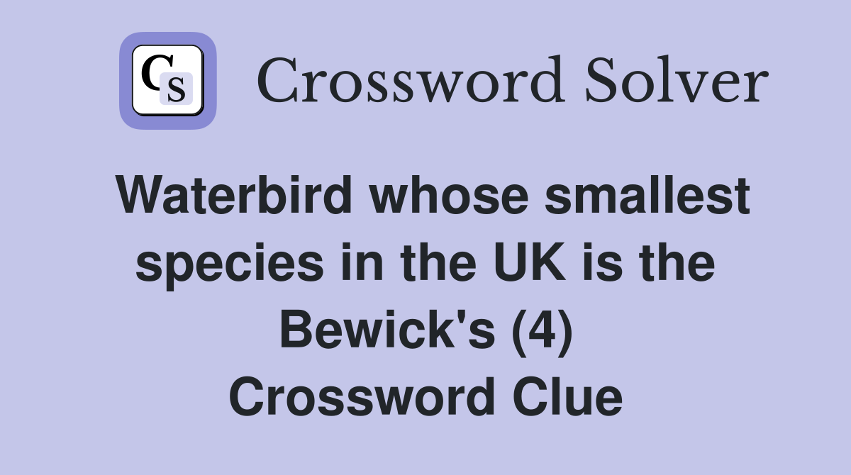Waterbird whose smallest species in the UK is the Bewick's (4) Crossword Clue