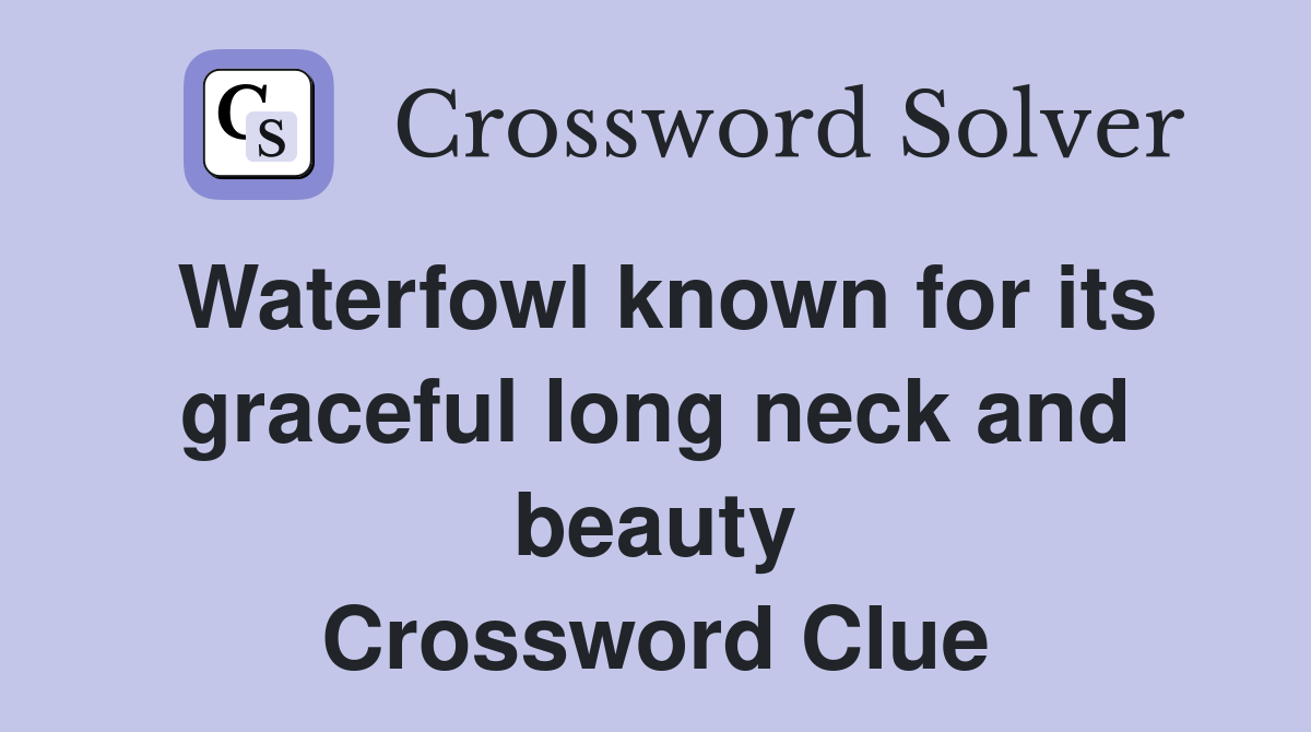 Waterfowl known for its graceful long neck and beauty Crossword Clue