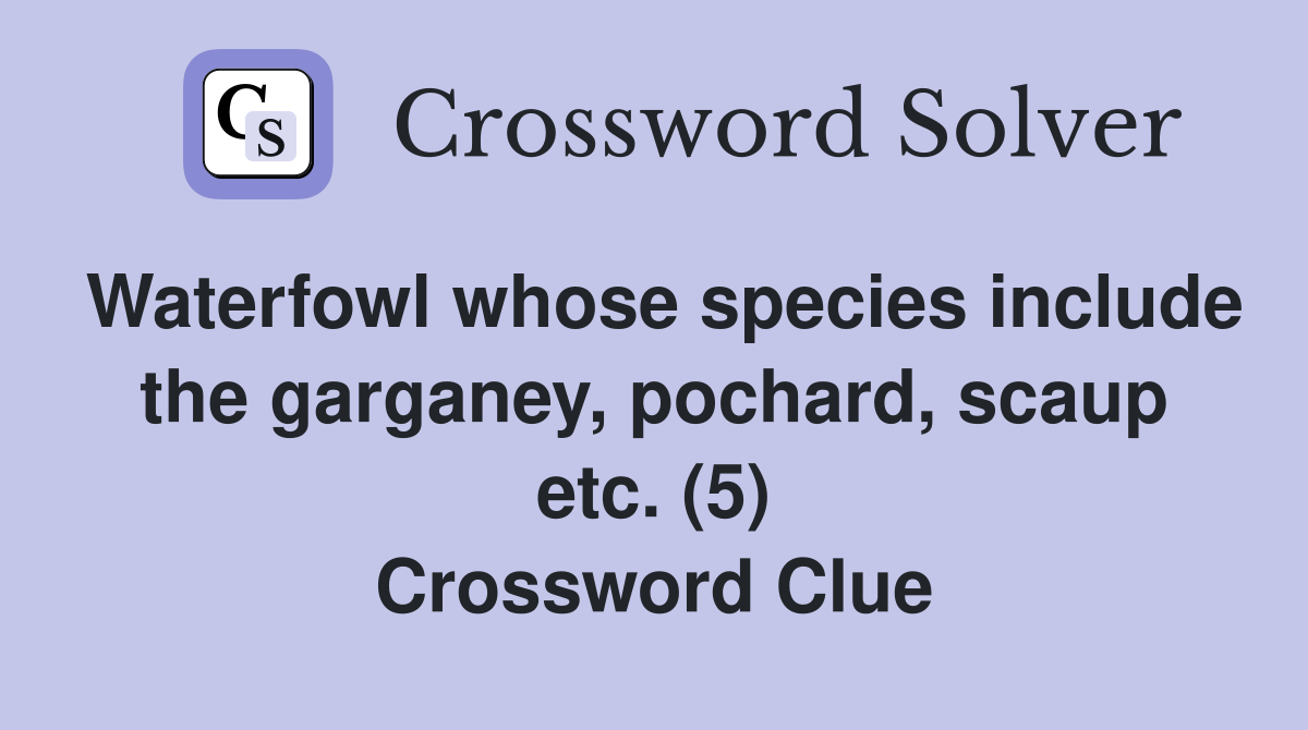 Waterfowl whose species include the garganey, pochard, scaup etc. (5) Crossword Clue