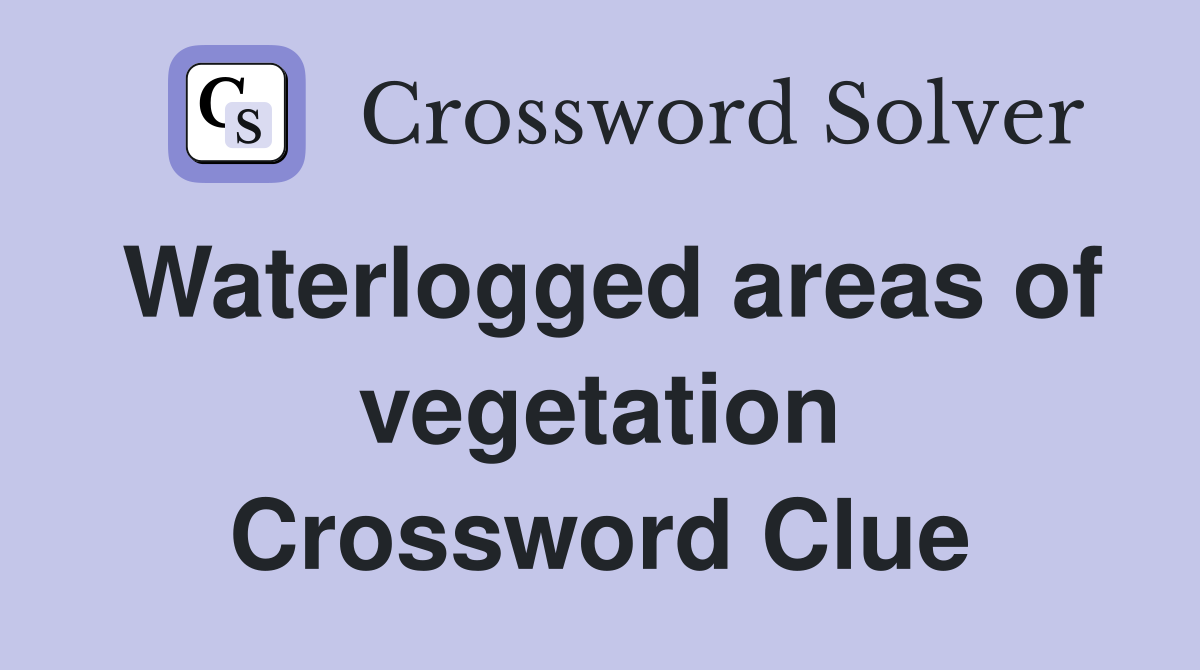 Waterlogged areas of vegetation Crossword Clue