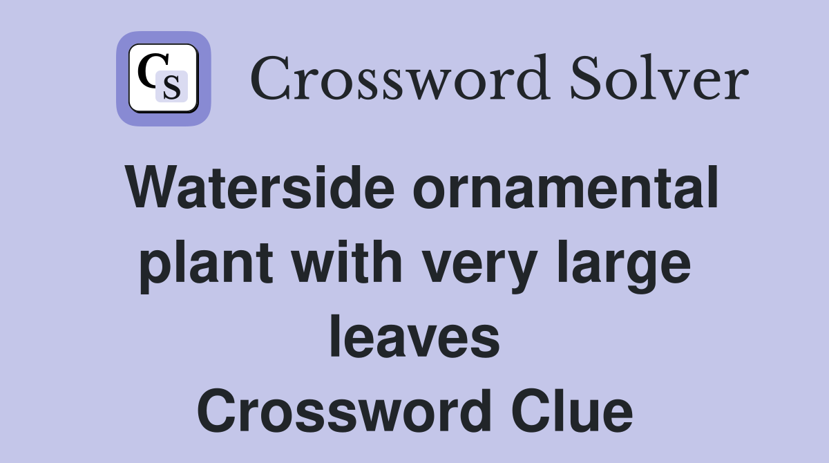 Waterside ornamental plant with very large leaves Crossword Clue