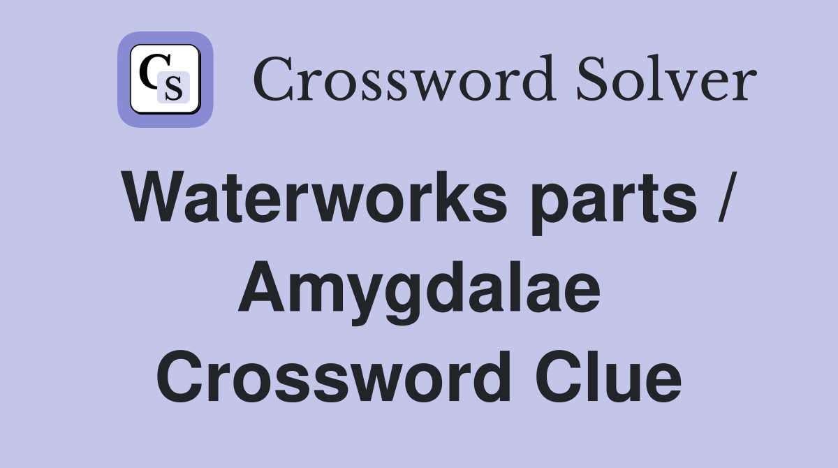 Waterworks parts / Amygdalae Crossword Clue