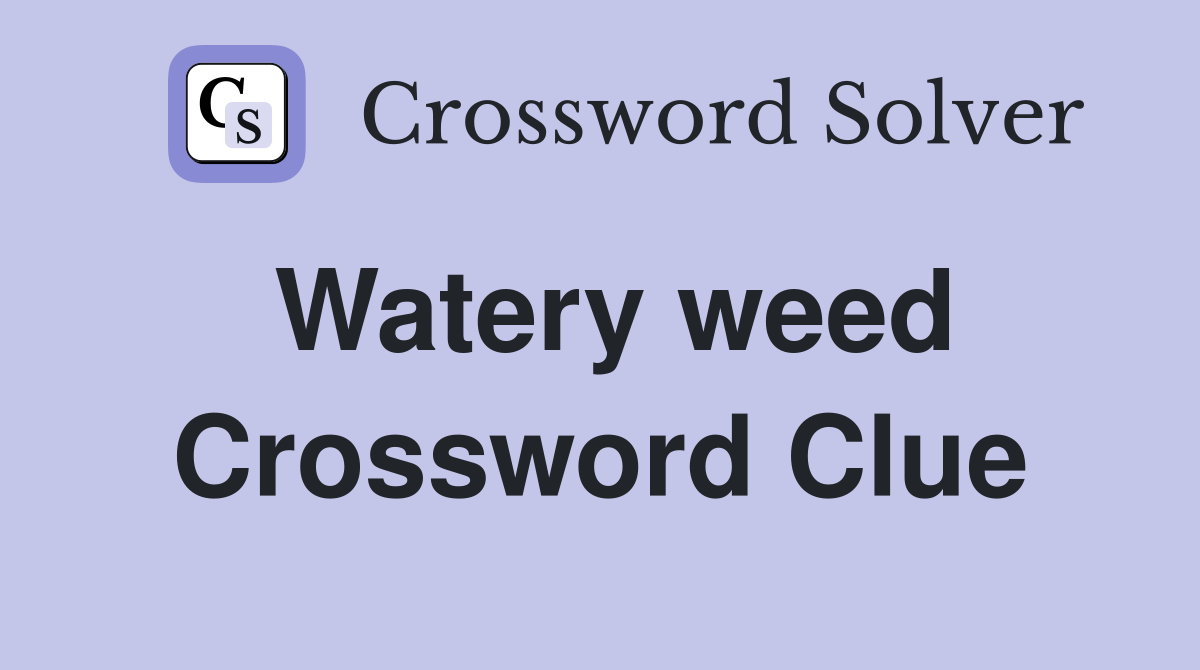 Watery weed Crossword Clue
