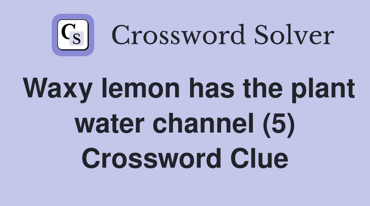 Waxy lemon has the plant water channel (5) Crossword Clue