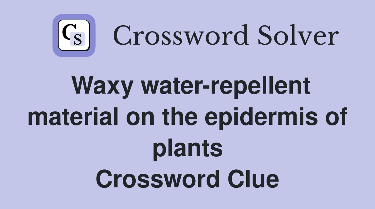 Waxy water-repellent material on the epidermis of plants Crossword Clue