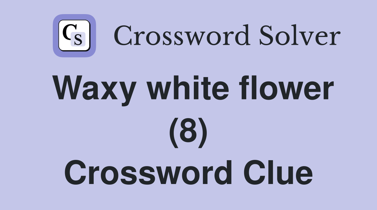 Waxy white flower (8) Crossword Clue