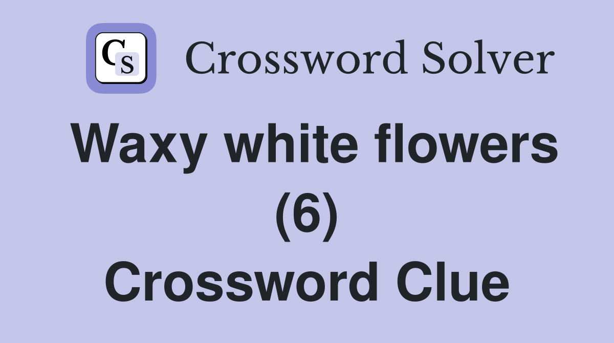 Waxy white flowers (6) Crossword Clue