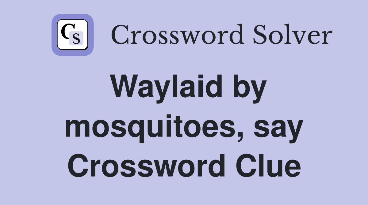 Waylaid by mosquitoes, say Crossword Clue