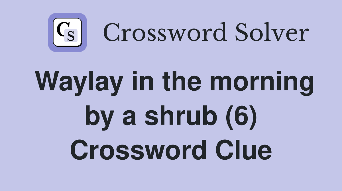 Waylay in the morning by a shrub (6) Crossword Clue