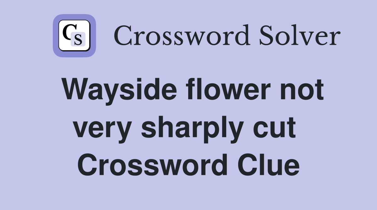 Wayside flower not very sharply cut  Crossword Clue