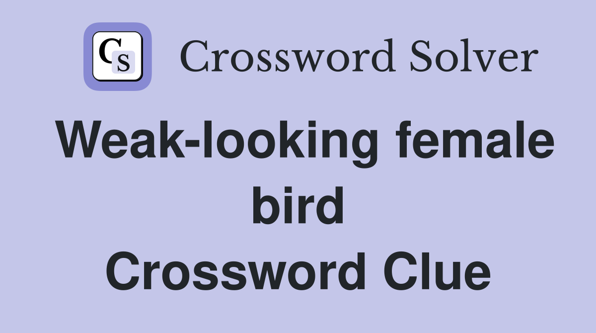 Weak-looking female bird Crossword Clue