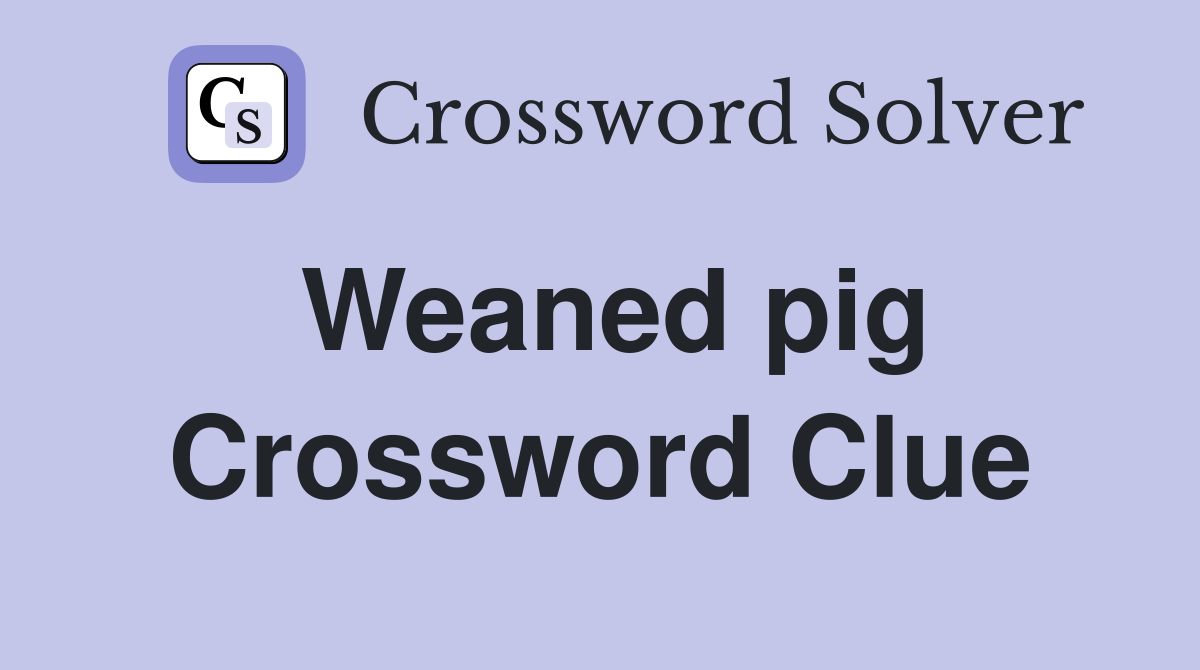 Weaned pig Crossword Clue