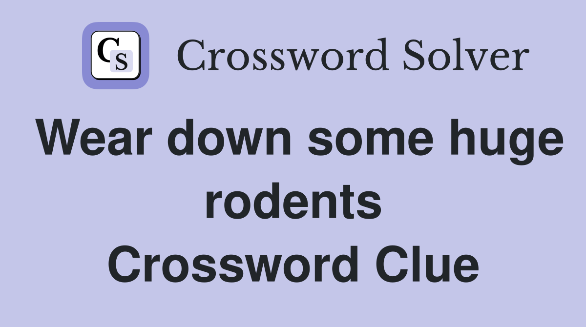 Wear down some huge rodents Crossword Clue