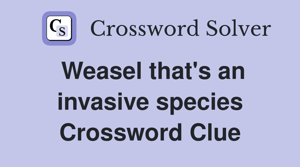 Weasel that's an invasive species Crossword Clue
