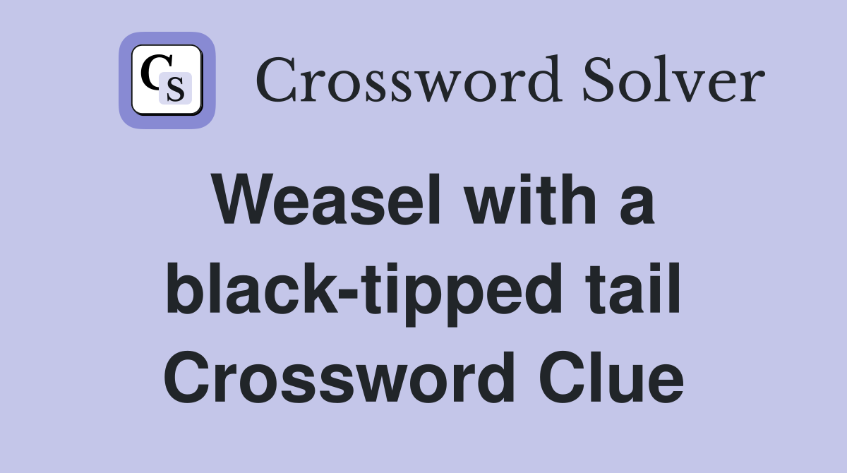 Weasel with a black-tipped tail Crossword Clue