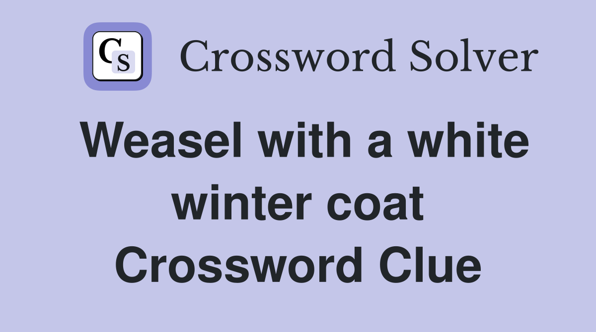 Weasel with a white winter coat Crossword Clue
