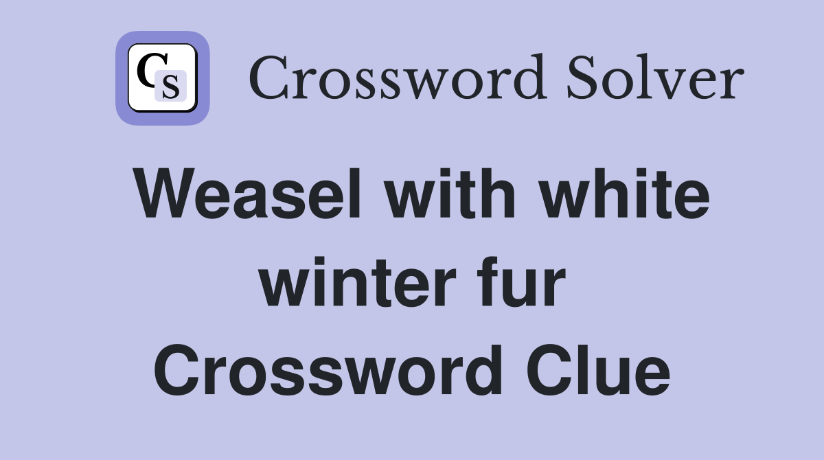 Weasel with white winter fur Crossword Clue