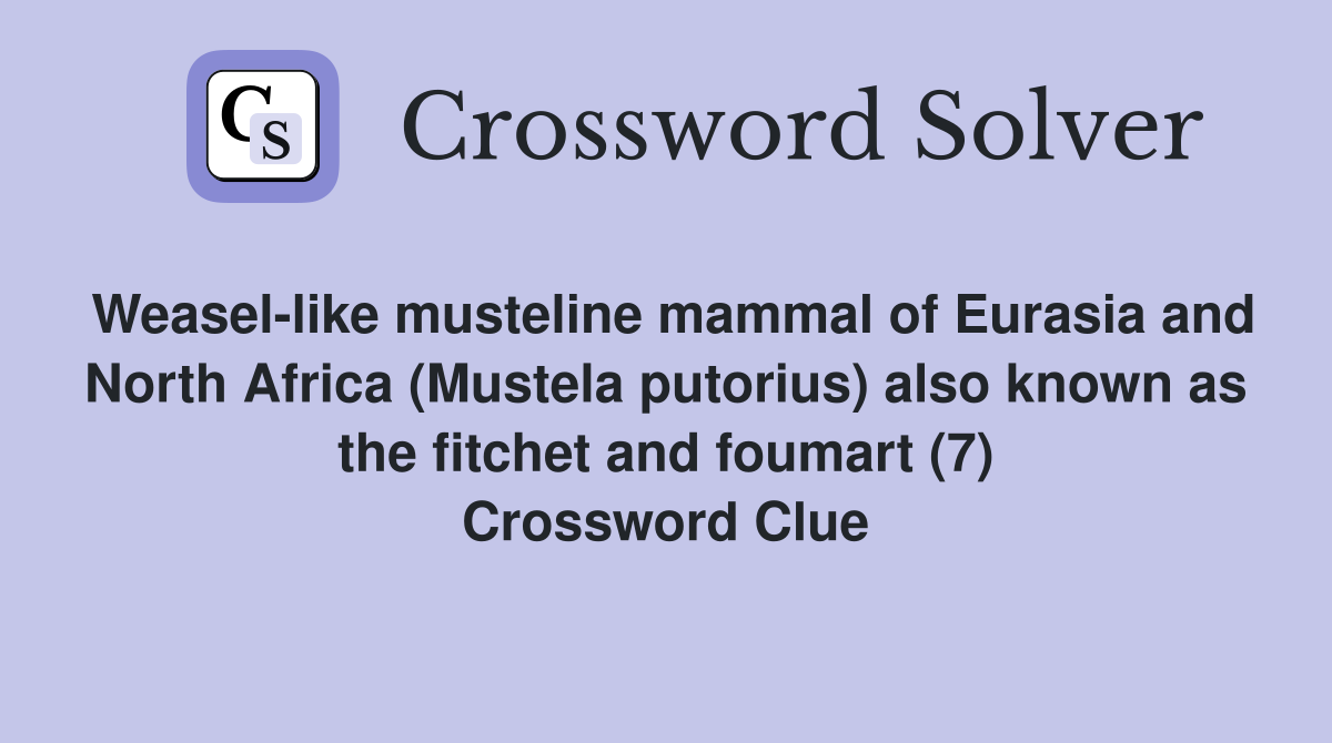 Weasel-like musteline mammal of Eurasia and North Africa (Mustela putorius) also known as the fitchet and foumart (7) Crossword Clue