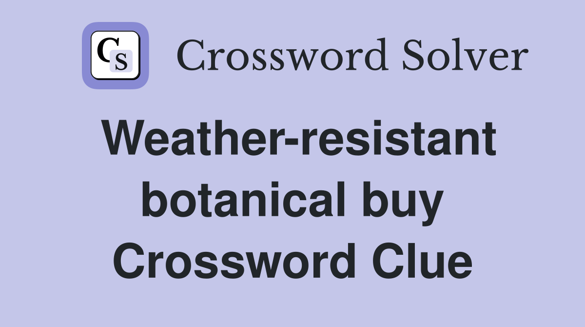 Weather-resistant botanical buy Crossword Clue